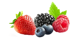 Mix de Berries